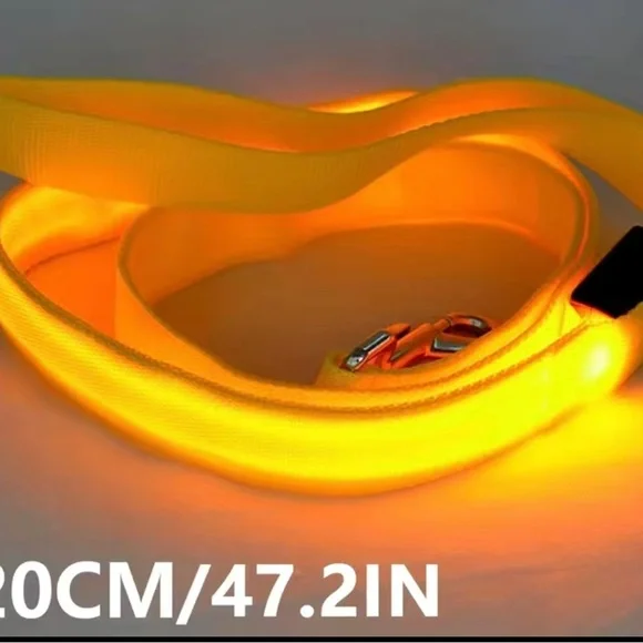 New white LED lit up leash, be seen at night! - Picture 3 of 6